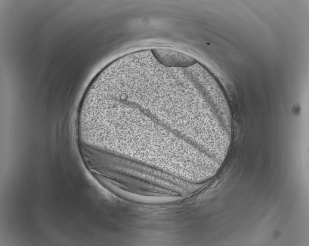 X0000116811527201001151133