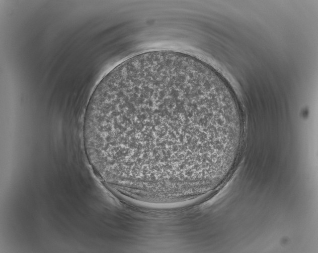 X0000116811529201001151133