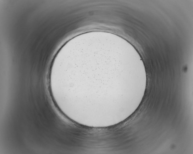 X0000116811531201001151133