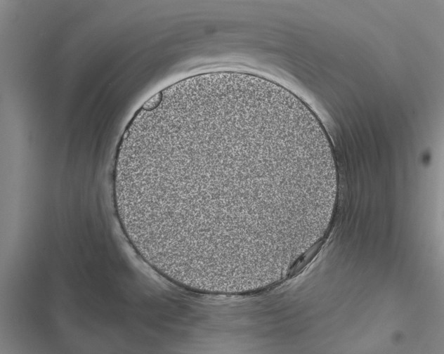 X0000116811534201001151133