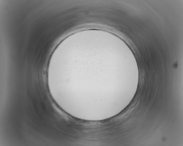 X0000116811535201001151133