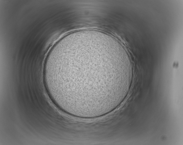 X0000116810002201001291611