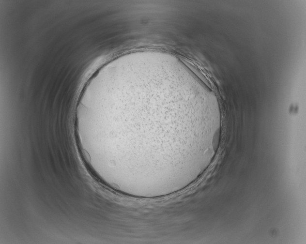 X0000116810003201001291611