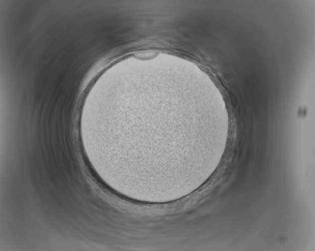 X0000116810004201001291611