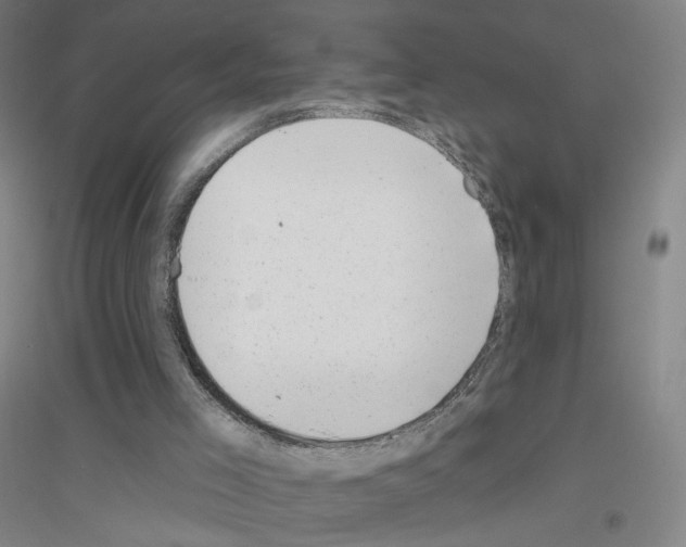X0000116810005201001291611