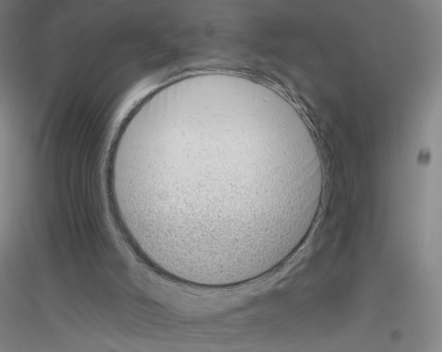 X0000116810006201001291611