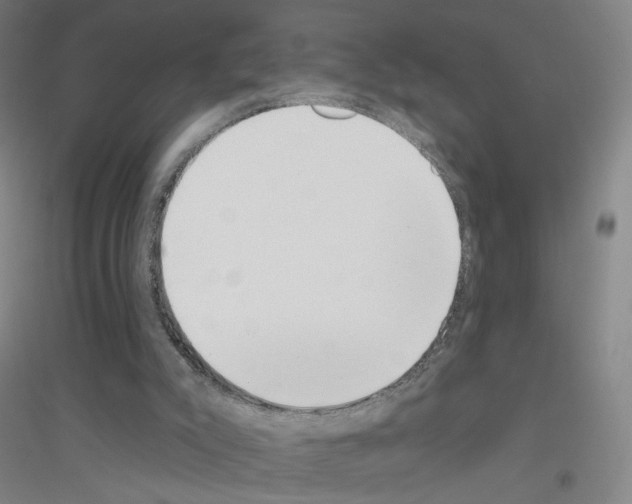 X0000116810007201001291611