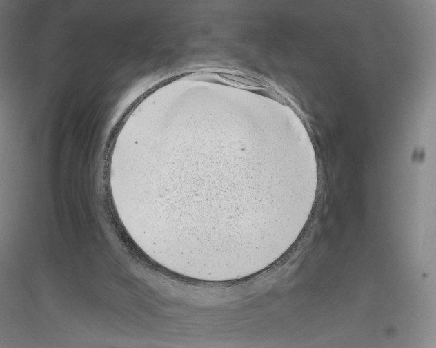 X0000116810008201001291611