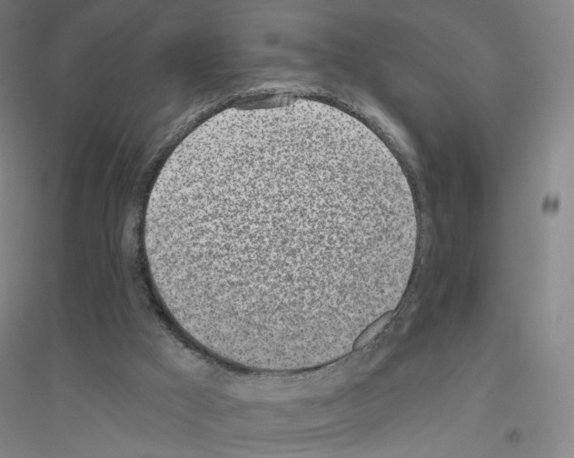 X0000116810009201001291611
