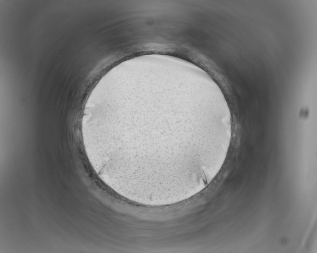 X0000116810011201001291611