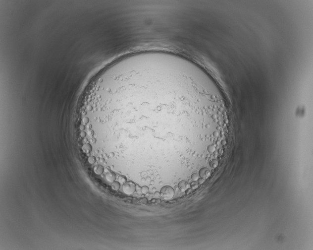 X0000116810012201001291611