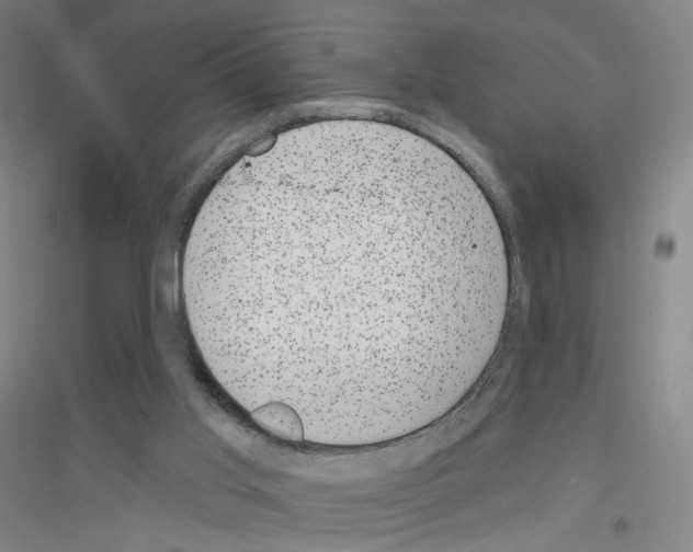 X0000116810013201001291611