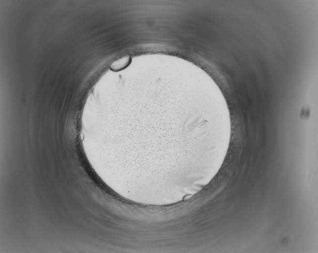 X0000116810015201001291611