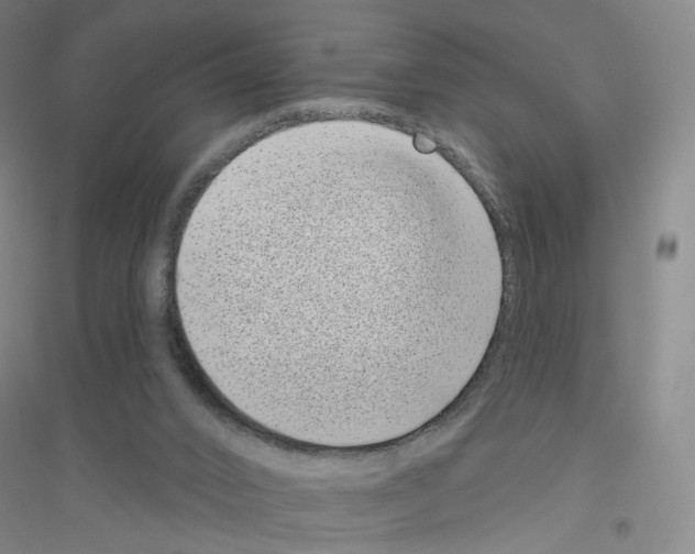 X0000116810016201001291611