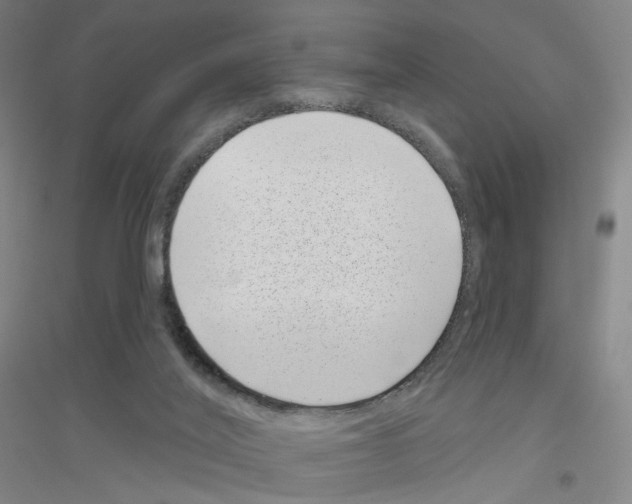 X0000116810020201001291611