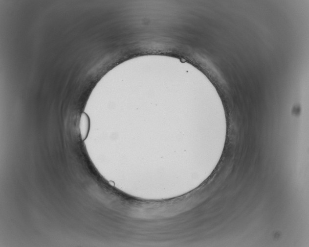 X0000116810021201001291611