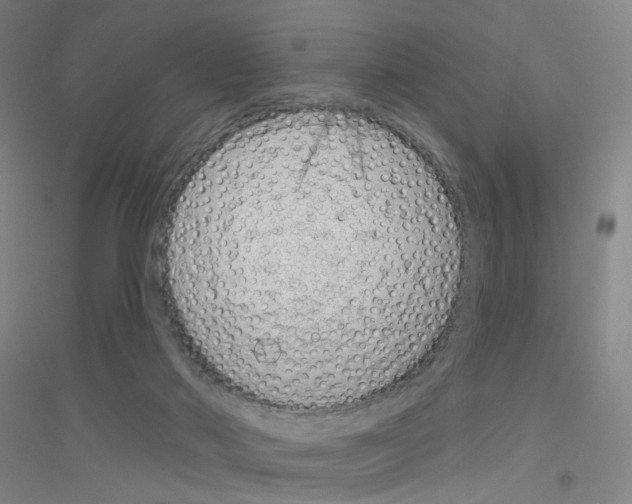 X0000116810022201001291611