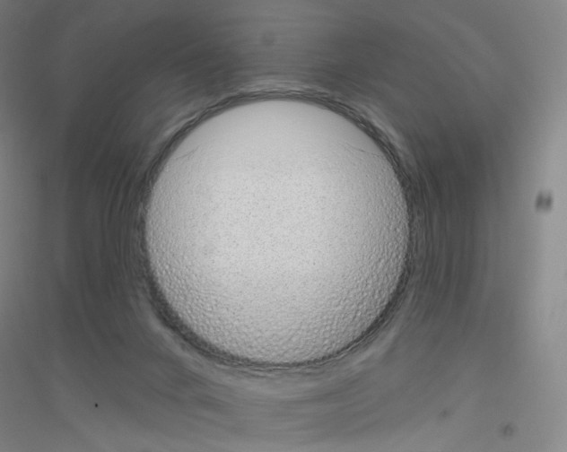 X0000116810024201001291610