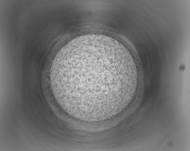 X0000116810026201001291610