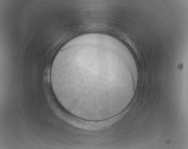 X0000116810027201001291610
