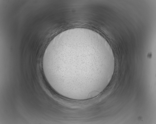 X0000116810028201001291610