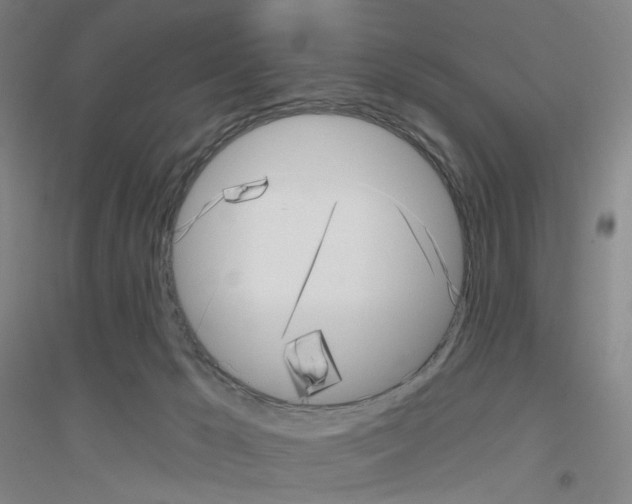 X0000116810029201001291610