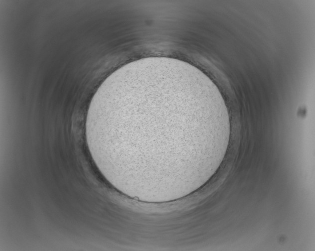 X0000116810030201001291610