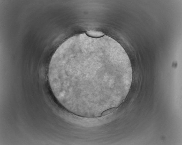 X0000116810031201001291610