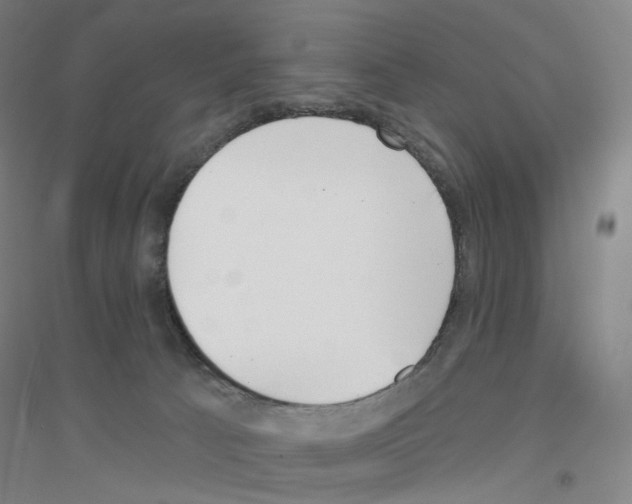 X0000116810033201001291610