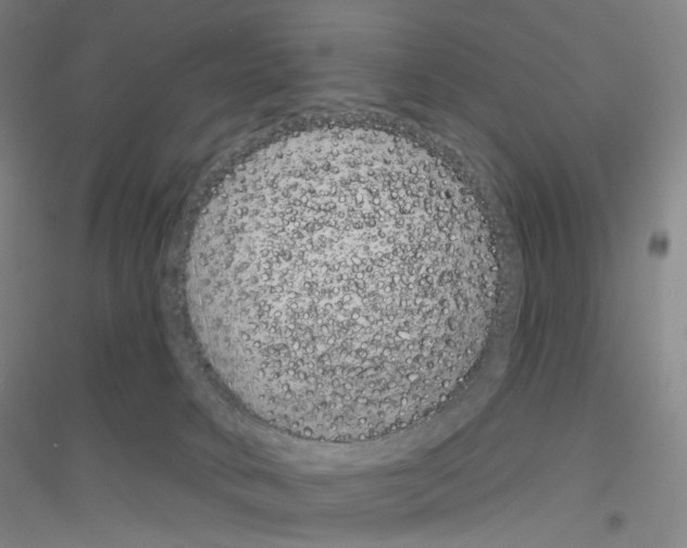 X0000116810034201001291610