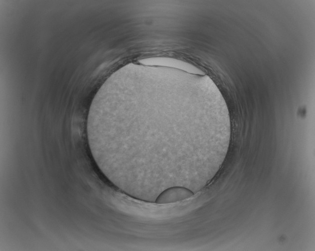 X0000116810035201001291610