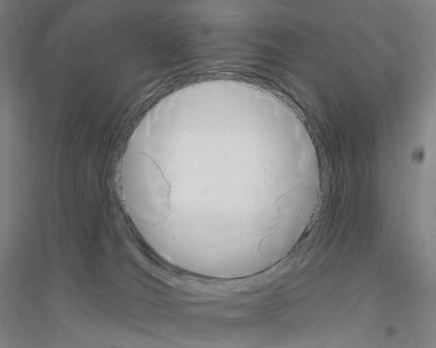 X0000116810036201001291610