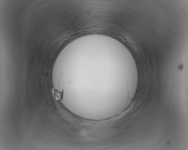 X0000116810037201001291610