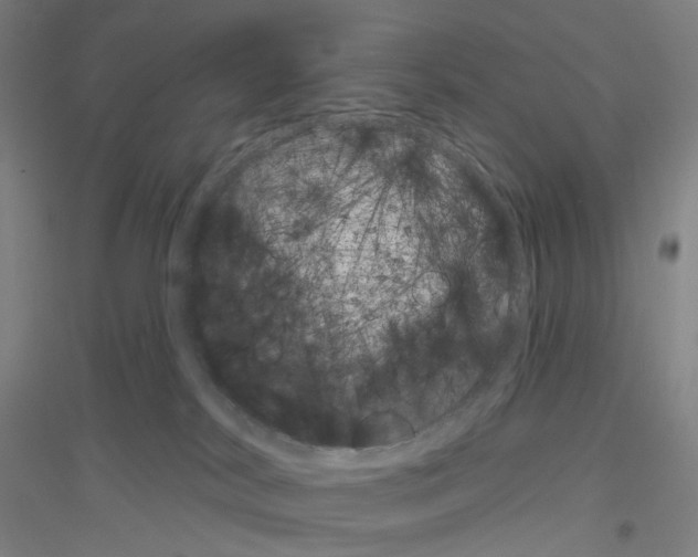 X0000116810038201001291610