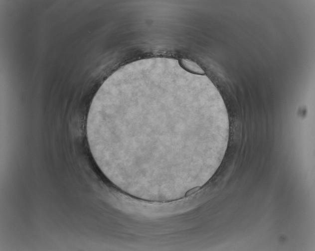 X0000116810039201001291610