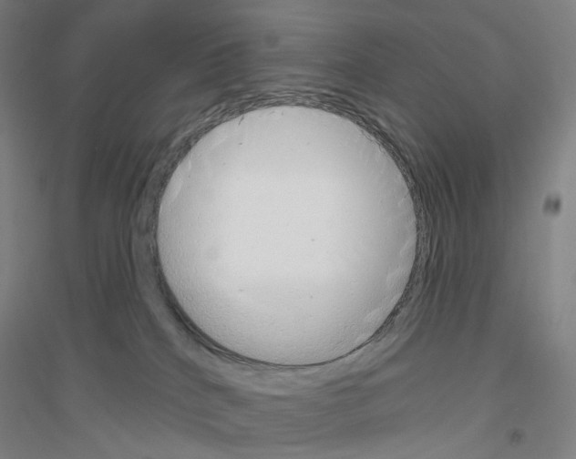 X0000116810040201001291610