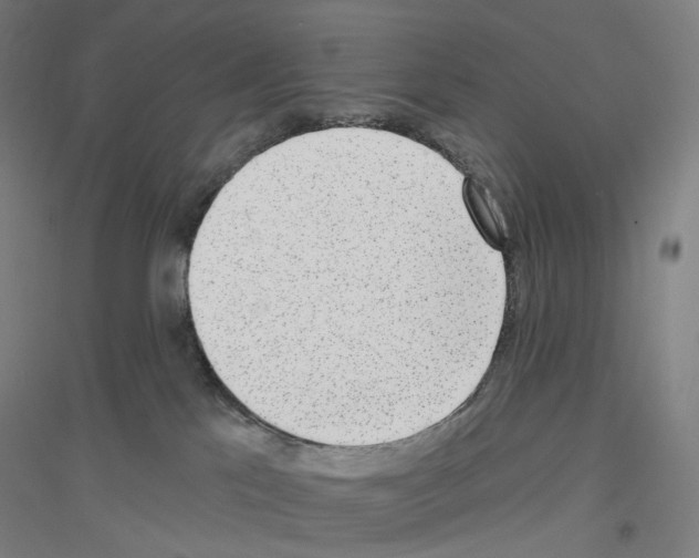 X0000116810041201001291610