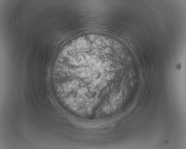 X0000116810042201001291610