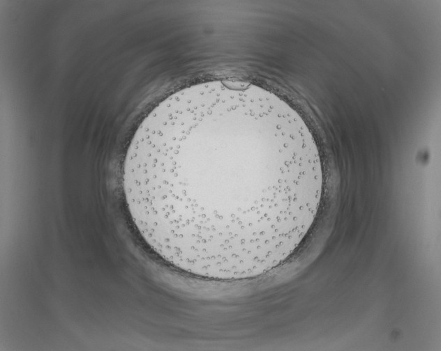 X0000116810044201001291610