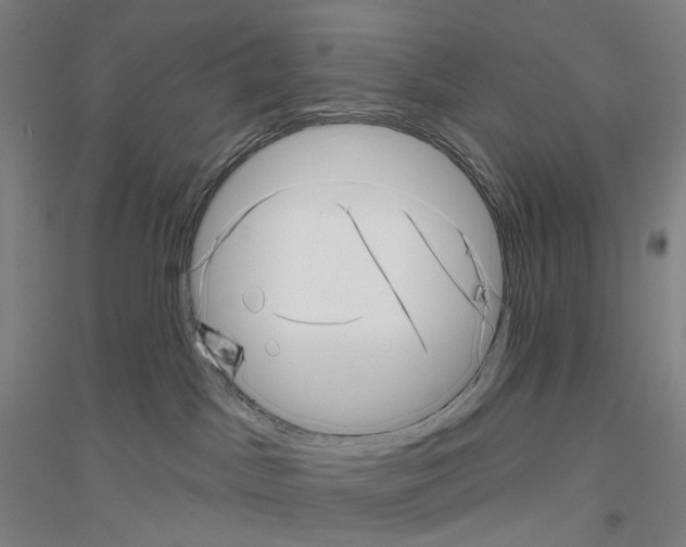 X0000116810045201001291610
