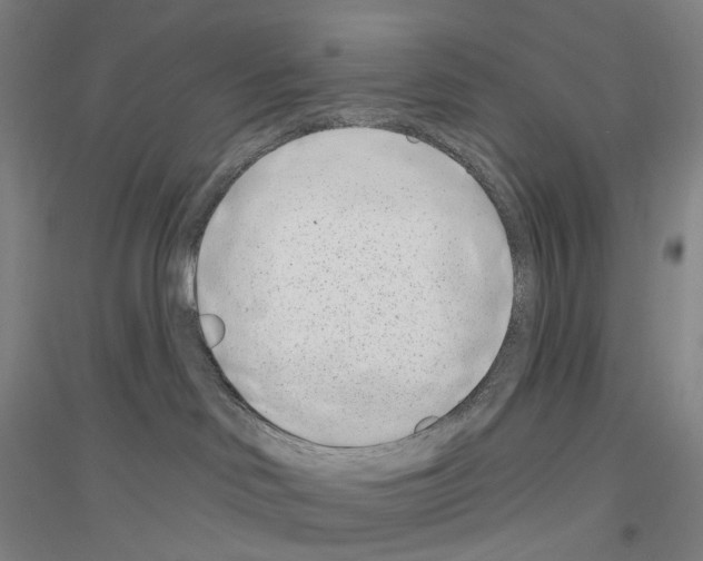 X0000116810046201001291610