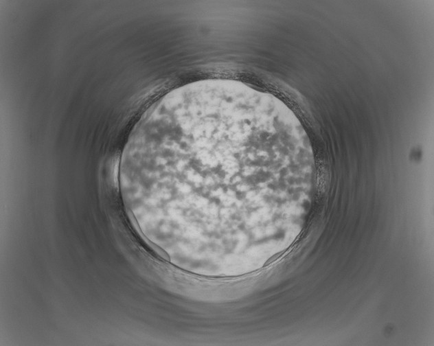X0000116810047201001291610