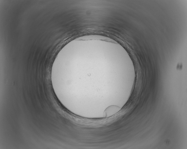 X0000116810048201001291610