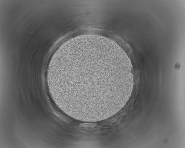 X0000116810051201001291610