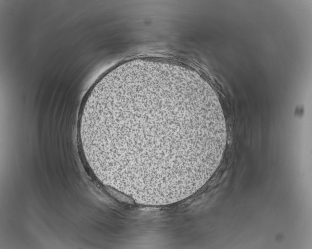 X0000116810052201001291610