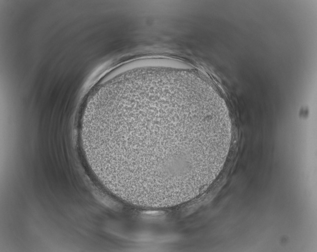 X0000116810053201001291610