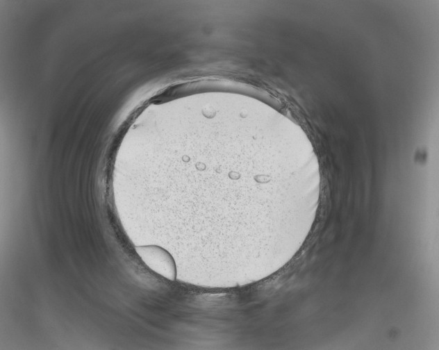 X0000116810054201001291610