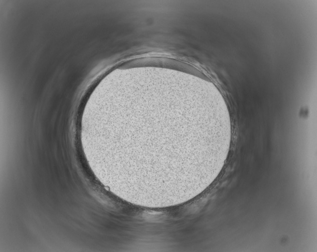 X0000116810055201001291610
