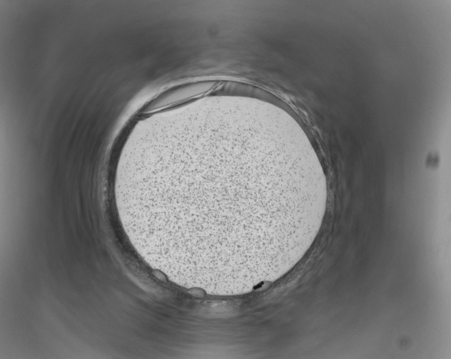 X0000116810056201001291610
