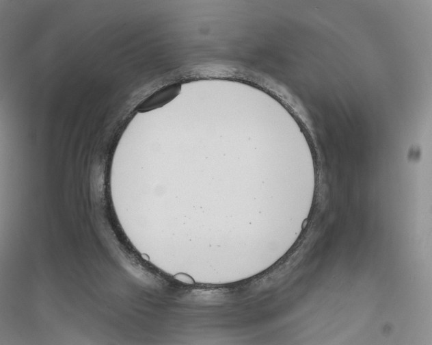 X0000116810057201001291610